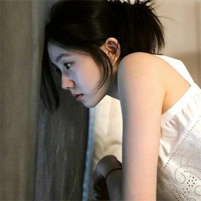 暴风雪中的白鸟